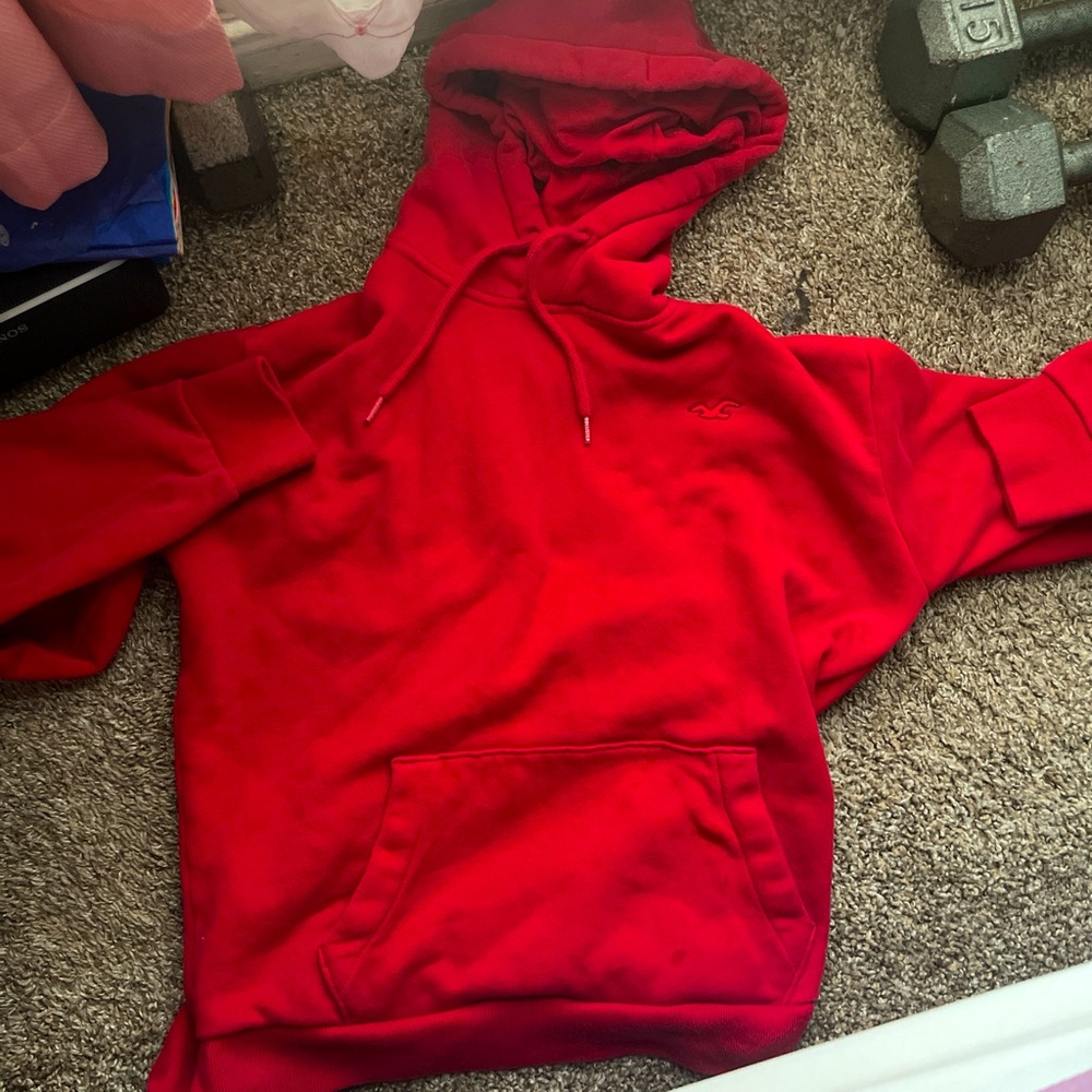 Hollister loo hoodie